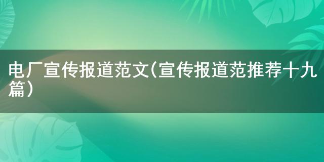 电厂传扬报道范文(传扬报道范举荐十九篇)